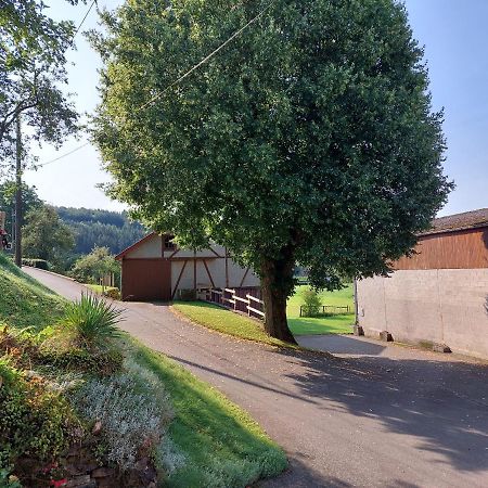 Ferienwohnung Setzer Muehle St. Vith Екстер'єр фото